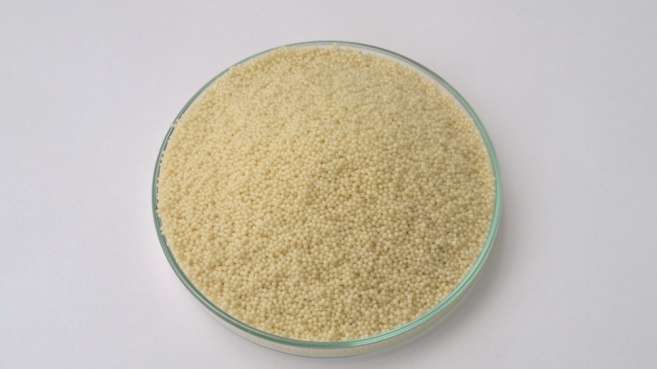 Itraconozole Pellets