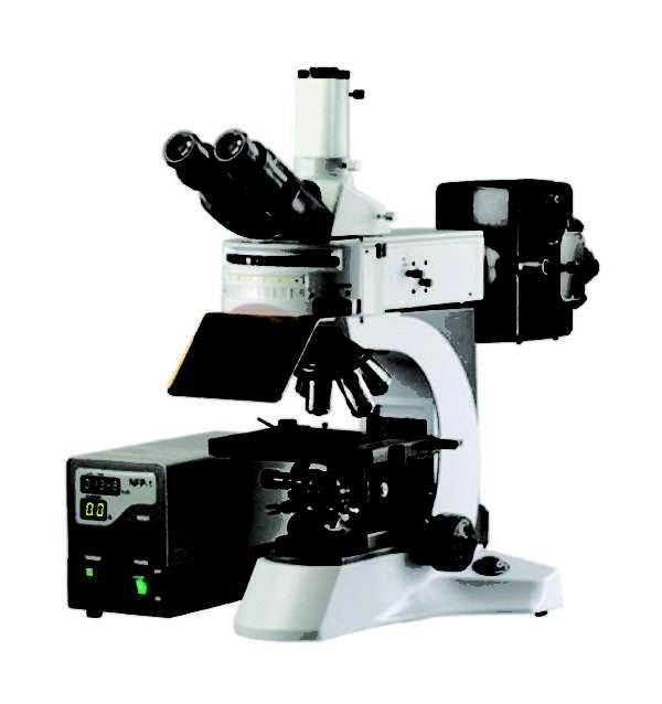 Fluorescence Microscope